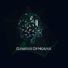 Genesis Of House