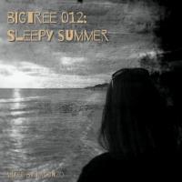 BigTree 012: Sleepy Summer