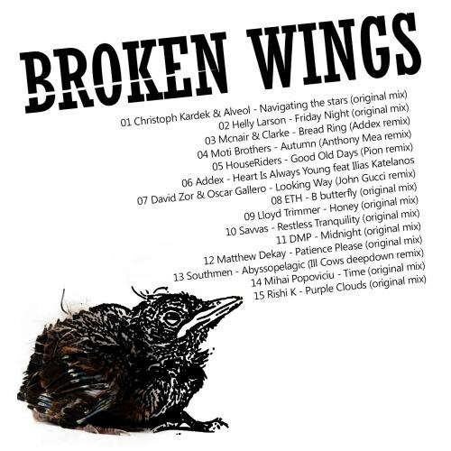 BROKEN WINGS