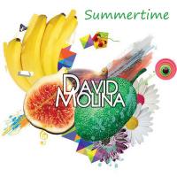 David Molina - Summertime Mix