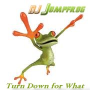 Turn Down For What ( Jumpfrogs Smashup )