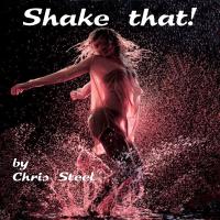 Chris Steel - Shake that!