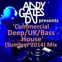 Commercial Deep/UK/Bass House (Summer 2014) Mix
