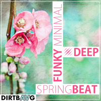 • Minimal House Star 3 • SPRINGbeat special edition