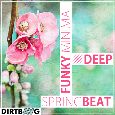 • Minimal House Star 3 • SPRINGbeat special edition