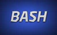 Bash Vol 1.