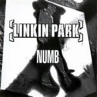 Linkin Park - Numb [electrostep remix]