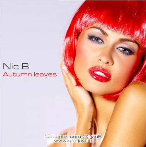 Nic B - Autumn Leaves