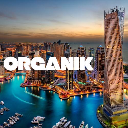 Organik 004