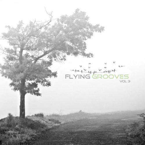 Flying Grooves Vol 3