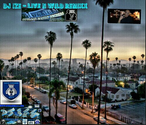 DJ IZE- LIVE N WILD REMIXX