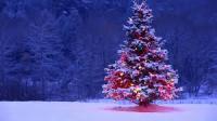 Xmas 2014 MIx
