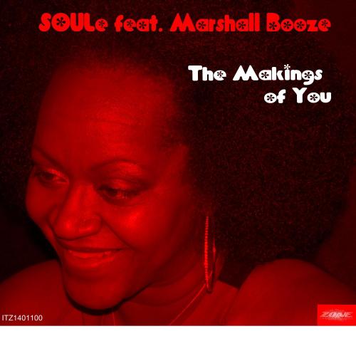 The Makings of You (Remixes)