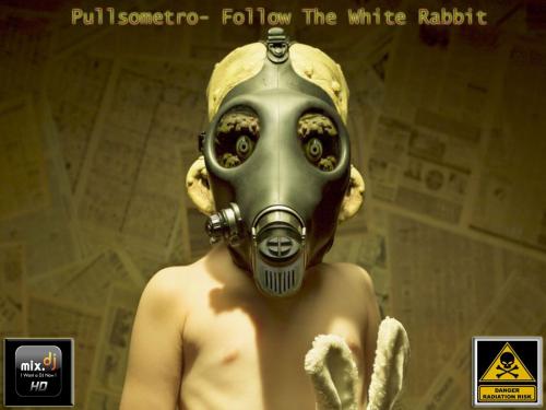 PULLSOMETRO - Follow The White Rabbit