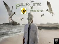 PULLSOMETRO - Wings To Fly