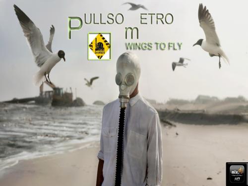 PULLSOMETRO - Wings To Fly