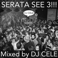 SERATA SEE 3!! - Mixed and Selected By DJ CELE!