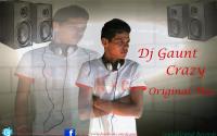 Dj Gaunt Crazy (Version Promo)