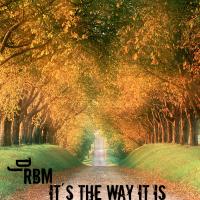 It´s The Way It Is (Original Mix)