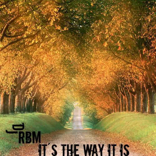 It´s The Way It Is (Original Mix)