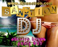 ♫ Best ★ Electro House ★ Top Mashup Mix #57 ★ 05.30.2015 ★  by DJSANCTION ♫