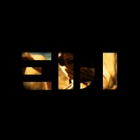 EDI - The Best Of 05 2015