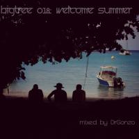 BigTree 018: Welcome Summer