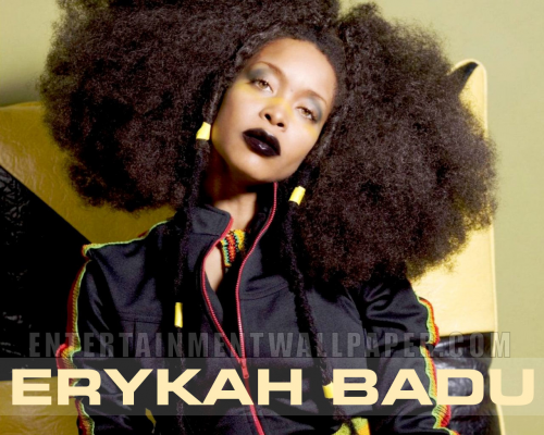 Baduism - Erykah Mixed Up Soulfully