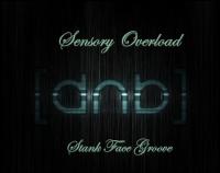 Sensory Overload V ( Stankie Face Groove )