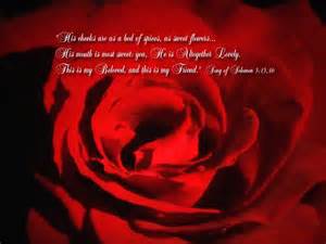 Christians Dance? EDM Groove #3