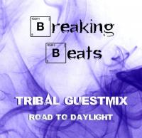 Breaking Beats Guestmix - Tribal