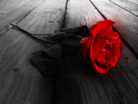 Summer Romance (Volume 3)