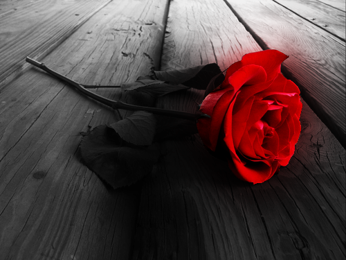 Summer Romance (Volume 3)