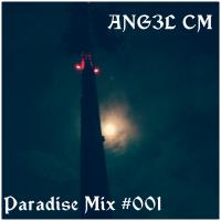Paradise Mix (Trance) #001