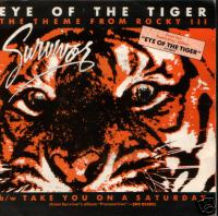 Survivor - Eye Of Tiger [rom H electro mashup]