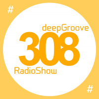 deepGroove Show 308