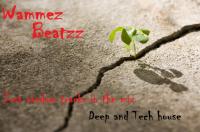 Wammez Beatzz Just Random Tracks october 2015