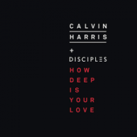 Calvin Harris &amp; Disciples - How Deep Is Your Love [rom H house demo]