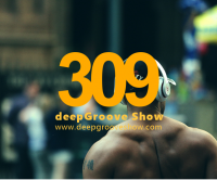 deepGroove Show 309 - Xtra long Version