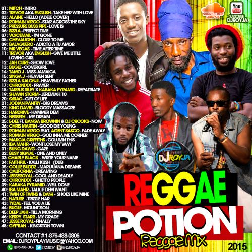 DJ ROY REGGAE POTION REGGAE MIX 2015