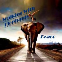 Walking with Elephants