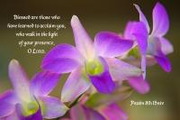 Christians Dance? TranceTime-Crystalis