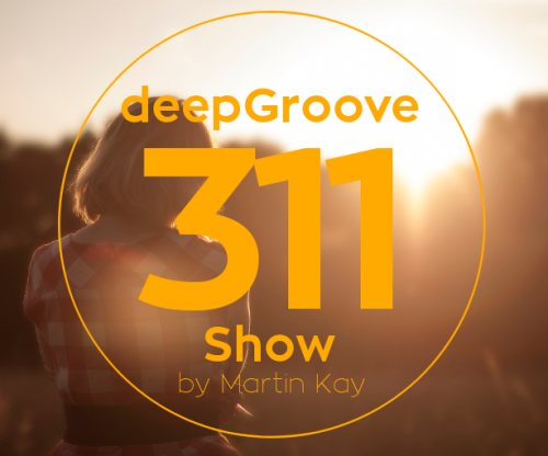 deepGroove Show 311