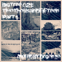 BigTree 021: twothousandfifteen part 1 (2015.12.18.)