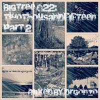 BigTree 022: twothousandfifteen part 2 (2015.12.23.)