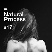 Natural Process #17