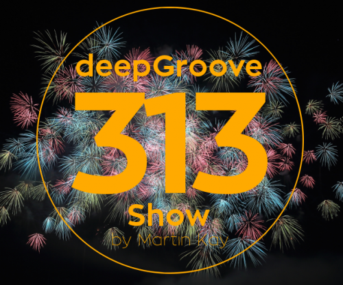 deepGroove Show 313