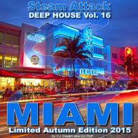 Steam Attack Deep House Mix Vol. 16 - MIAMI 2015