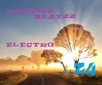 Electro mix Volume 24
