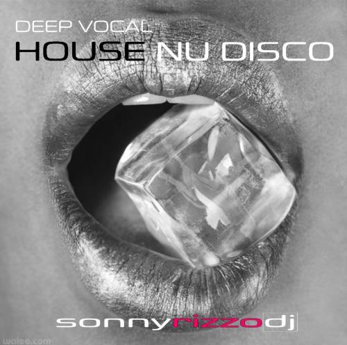 DEEP VOCAL HOUSE/Nu DISCO